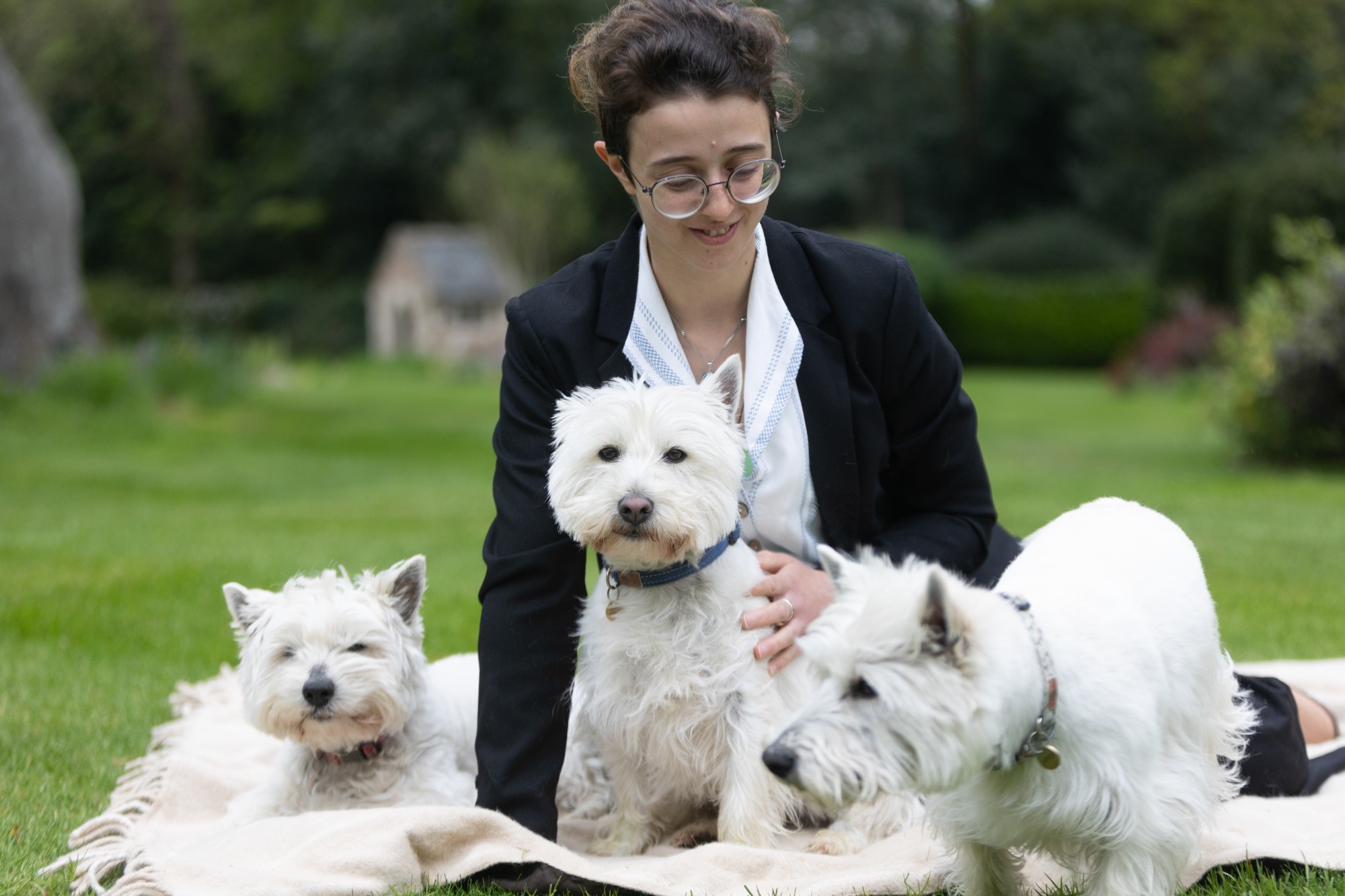  pet sitter minding three dogs